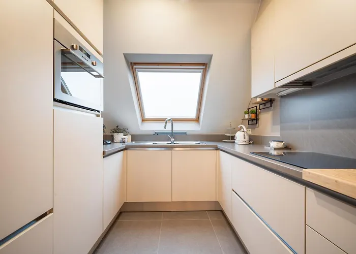 Penthouse With Spacious Terrace & Sea View 公寓 奥斯滕德